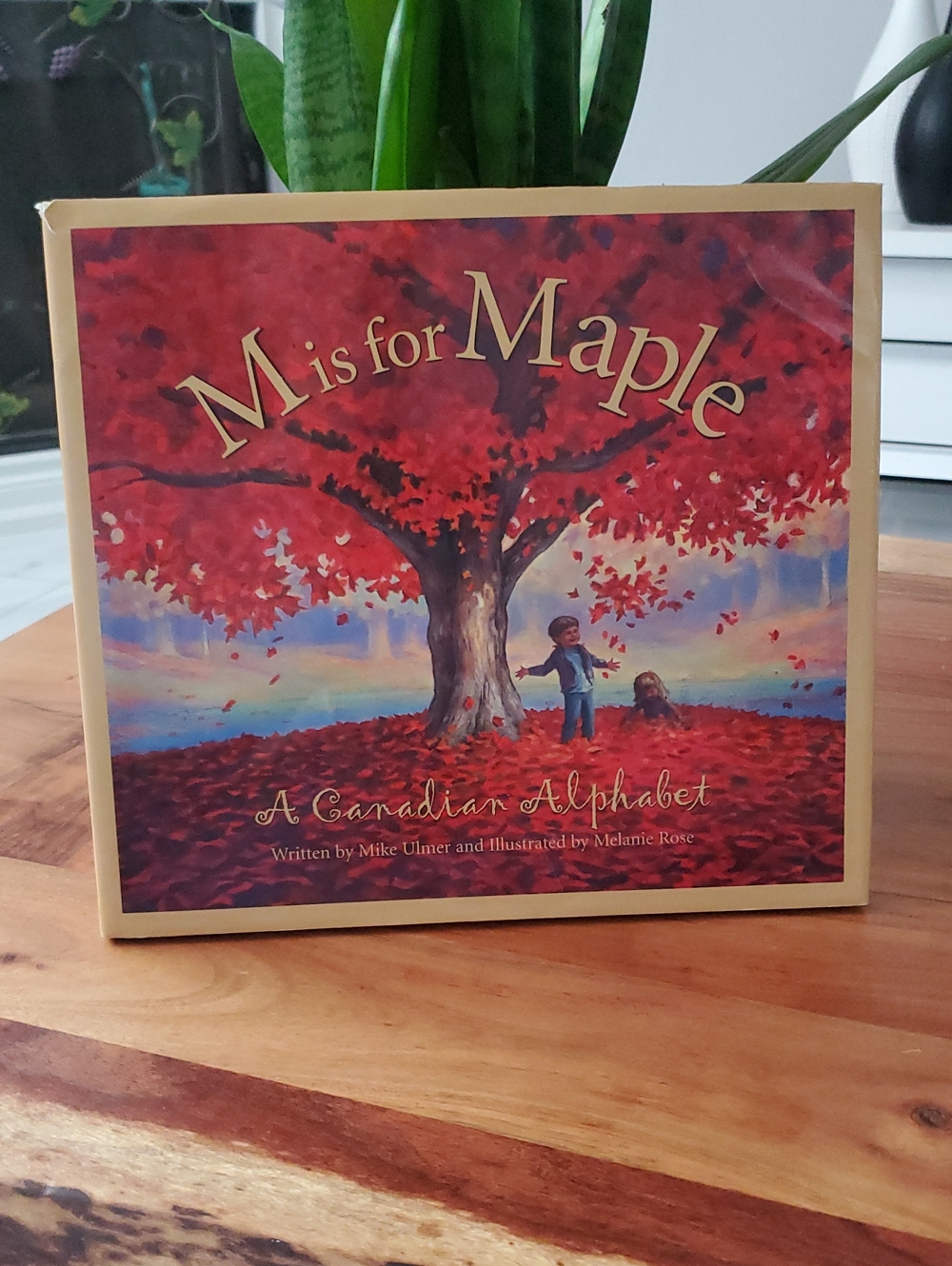 M IS FOR MAPLE- A CANADIAN ALPHABET- LARGE HARDCOVER BOOK Y2K EDITION